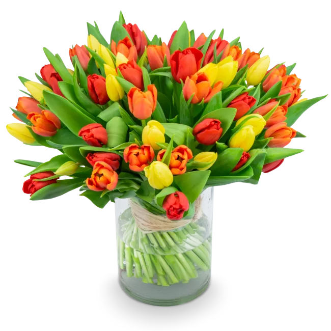 Kytice tulipánů
